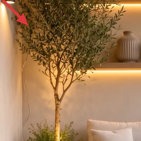wall sconce with cylindrical shade