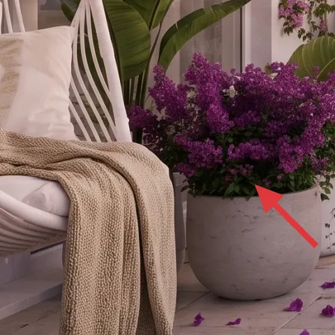 purple flowering planter pot