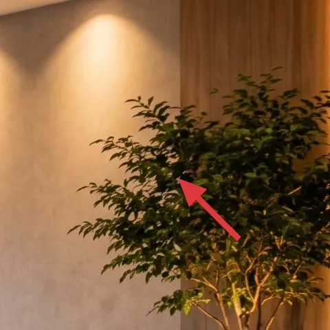 Tall potted tree (right corner)