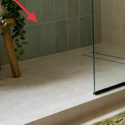 indoor plant in pot on floor