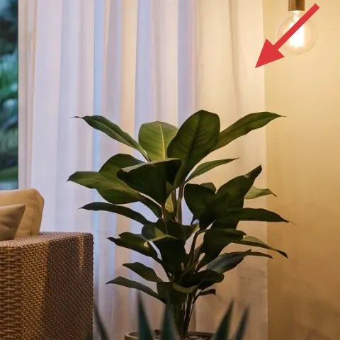 brass floor lamp with clear bulb