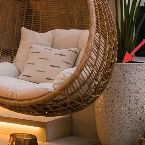 large potted plant on the right