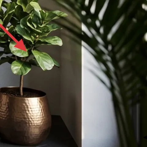 Potted leafy plant in hammered metal pot
