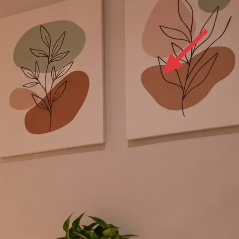 framed botanical prints